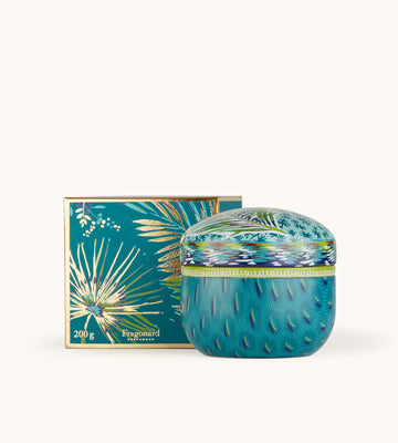 Coriandre Lemongrass Candela