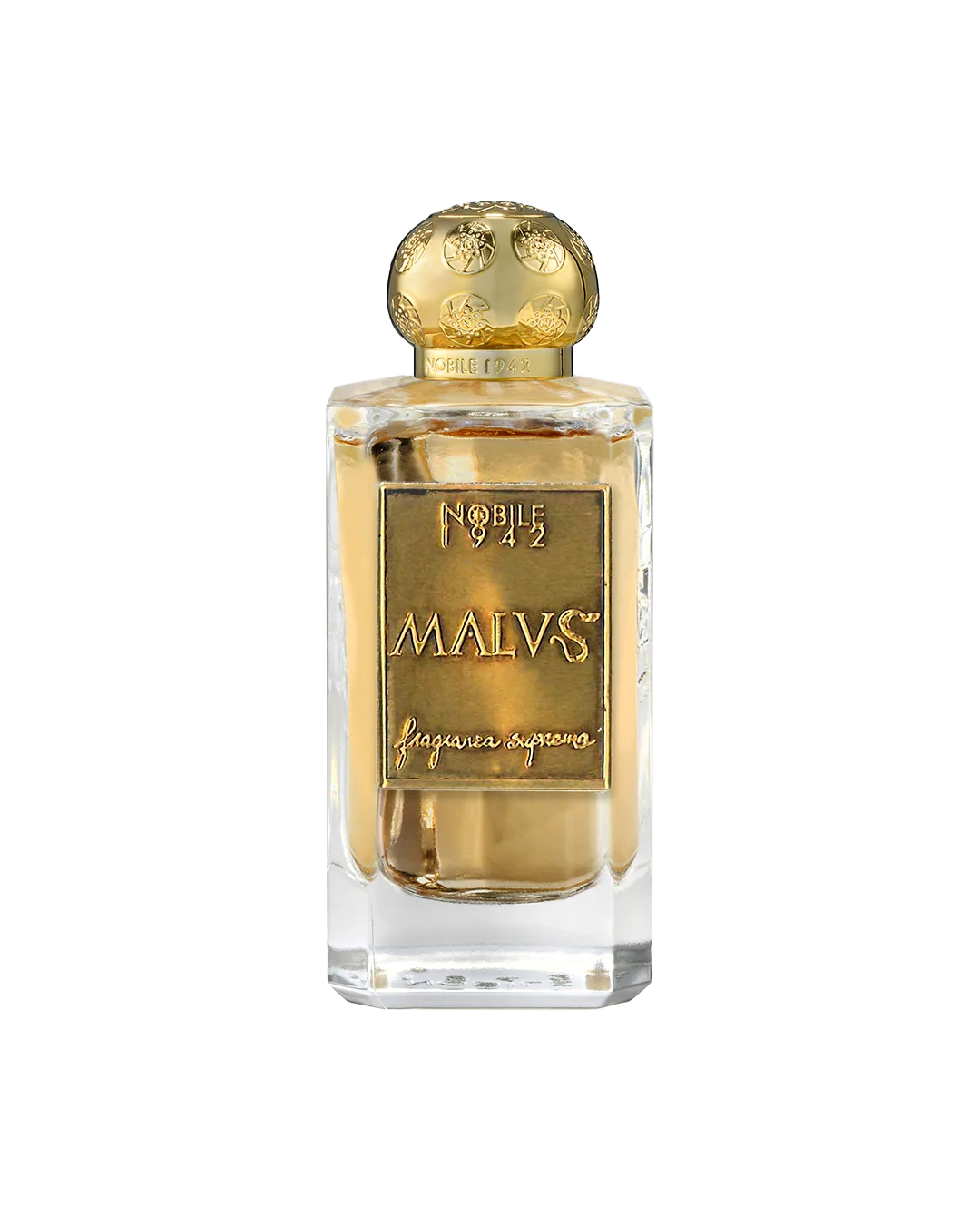Malvs