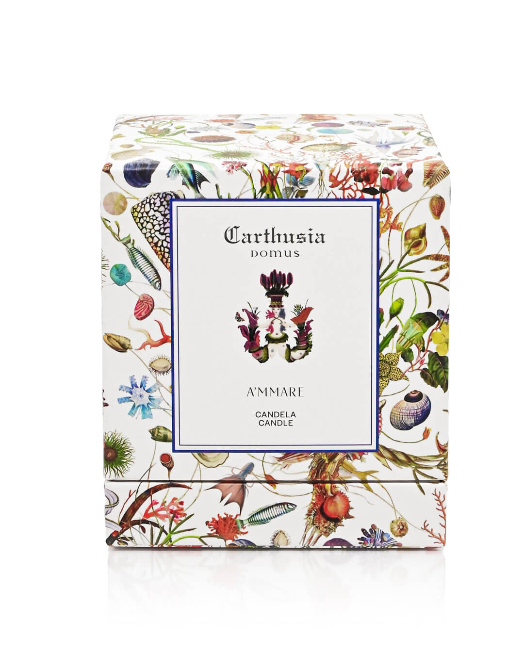 Carthusia A'mmare Candela