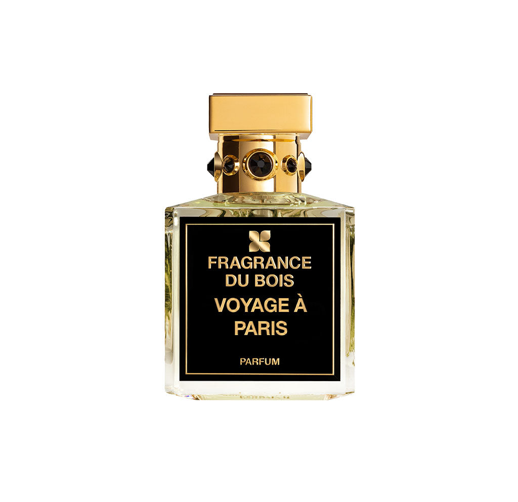 Voyage à Paris