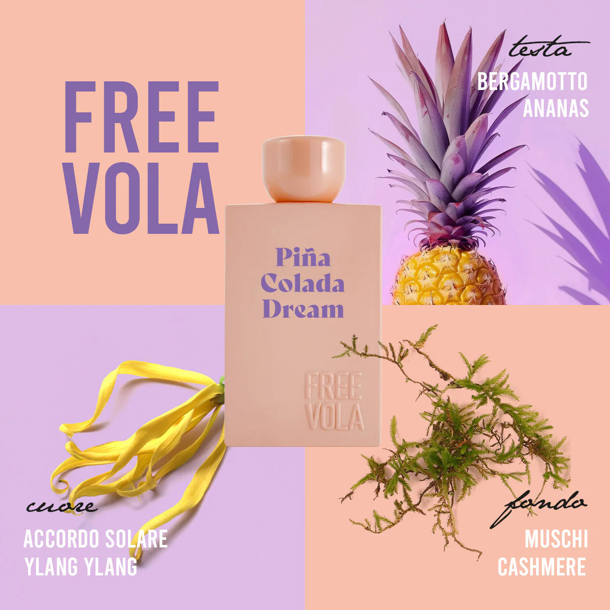 Pina Colada Dream