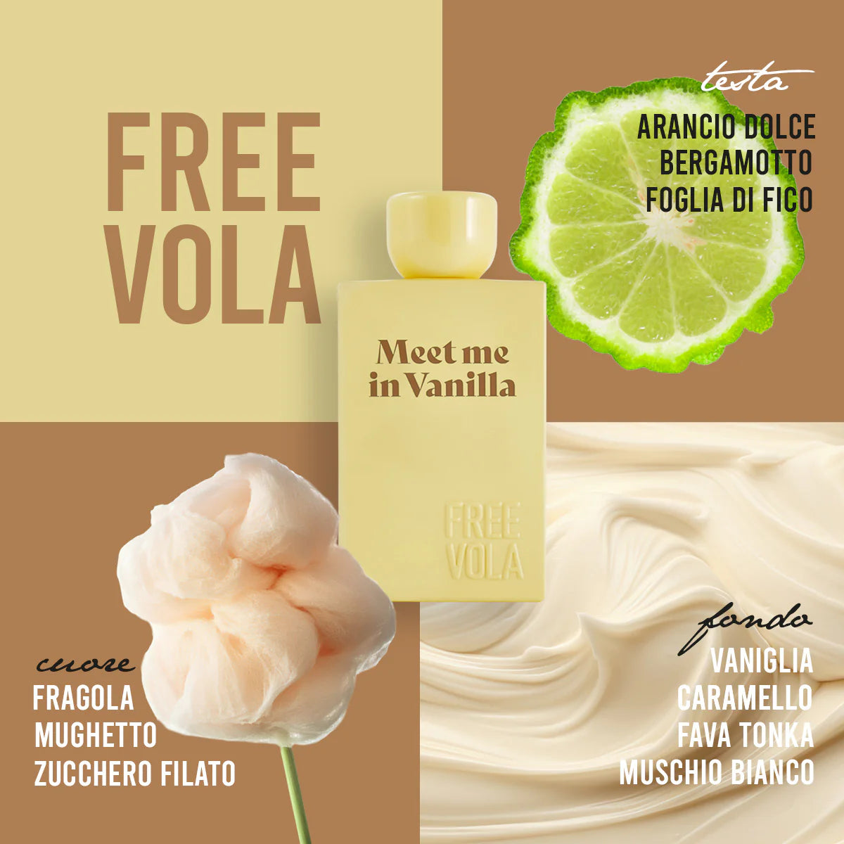 Meet Me in Vanilla