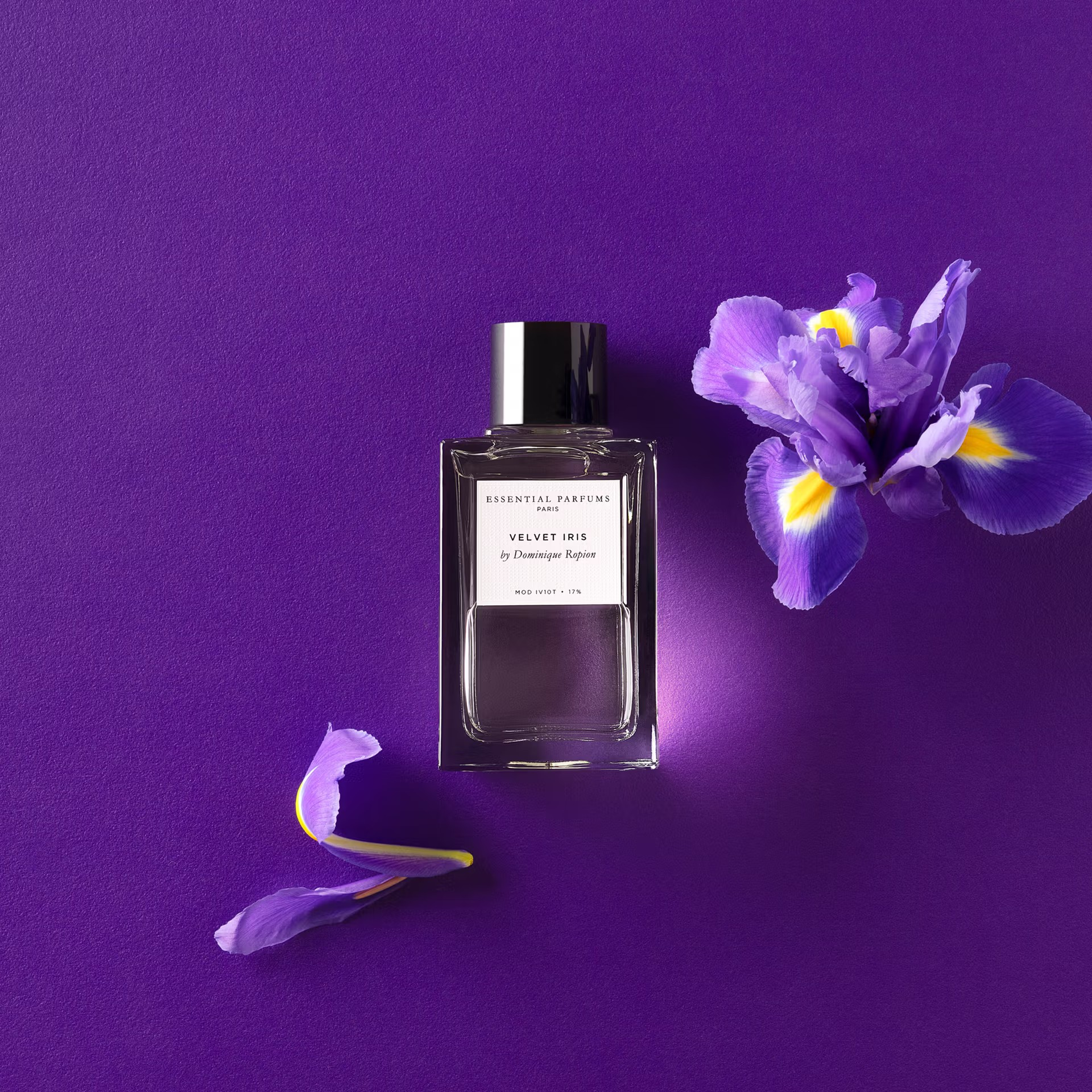 Velvet Iris